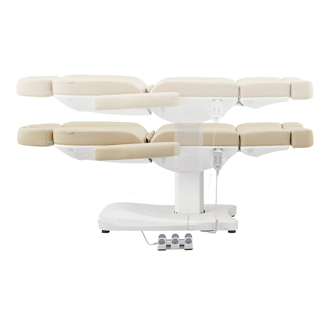 Sillón de Tratamiento de Belleza Clínica Roctod-3G