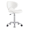 Medical & Clinical Stool Esperto