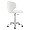 Medical & Clinical Stool Esperto